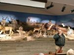 Gary Thies in the creation museum